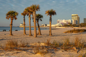 Palm trees on a beach with a large hotel/casino building in the background