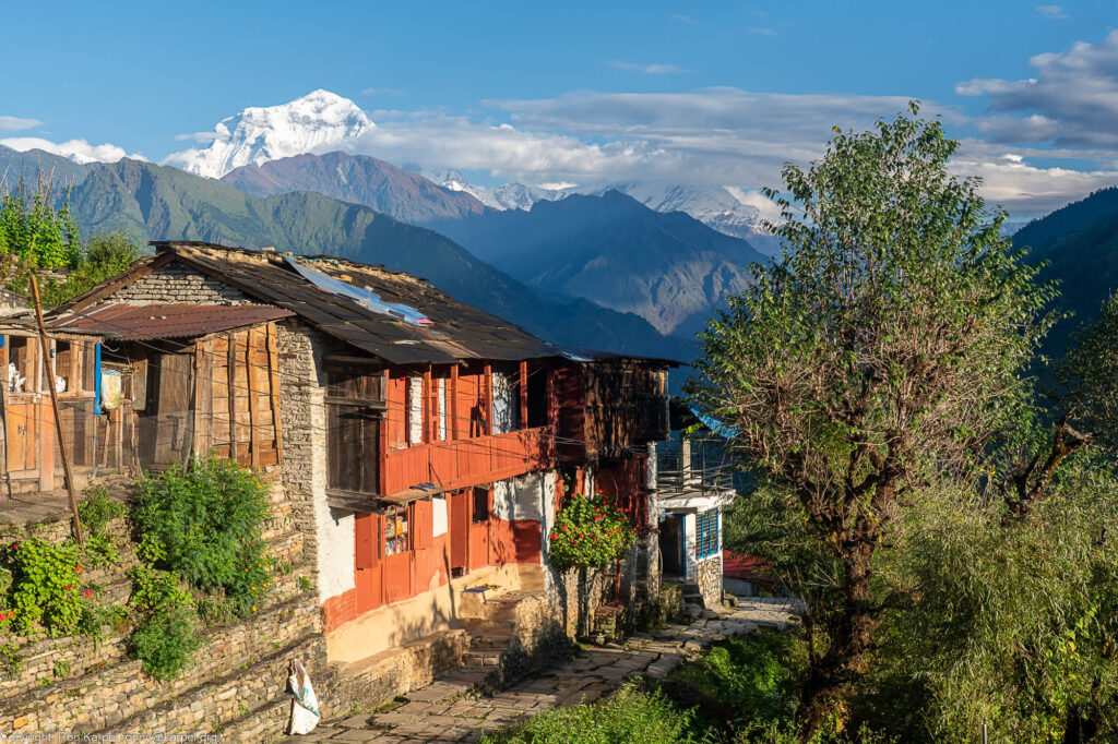 A high snow capped mountain towering over a village of wooden houses and slate roofs and stone paved paths